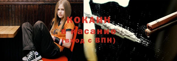 spice Алзамай