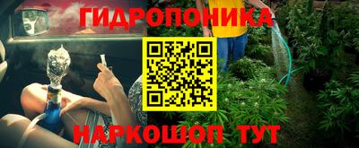 индика Жуковский