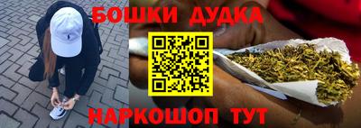 индика Жуковский