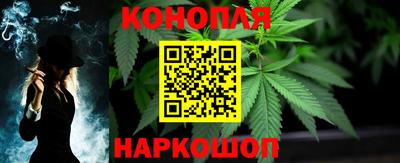 гашик Заводоуковск