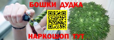 индика Жуковский