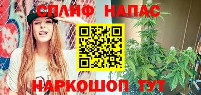 гашик Заводоуковск