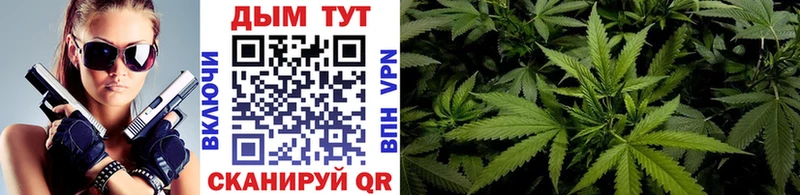 Шишки марихуана сатива  KRAKEN ТОР  Люберцы 